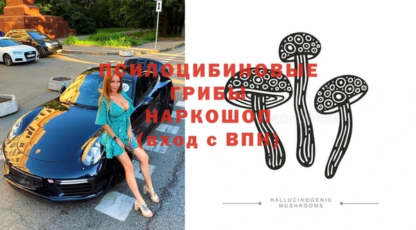 соль ск Горняк