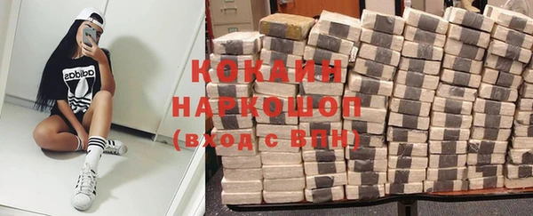 соль ск Горняк