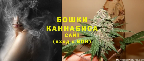 ГАЛЛЮЦИНОГЕННЫЕ ГРИБЫ Лагань