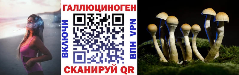 Галлюциногенные грибы Cubensis  Озёры 